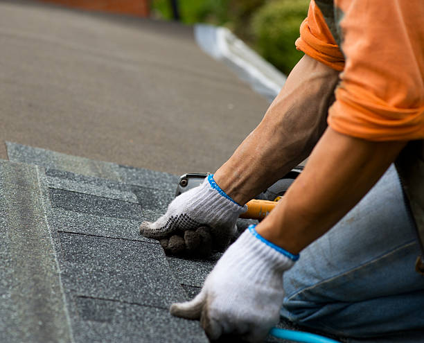 Best Green or Eco-Friendly Roofing Solutions  in Kingsport, TN